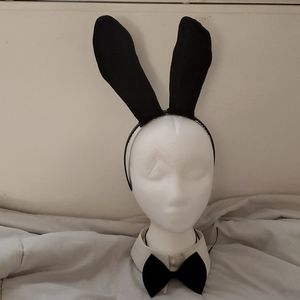 Bunny suit